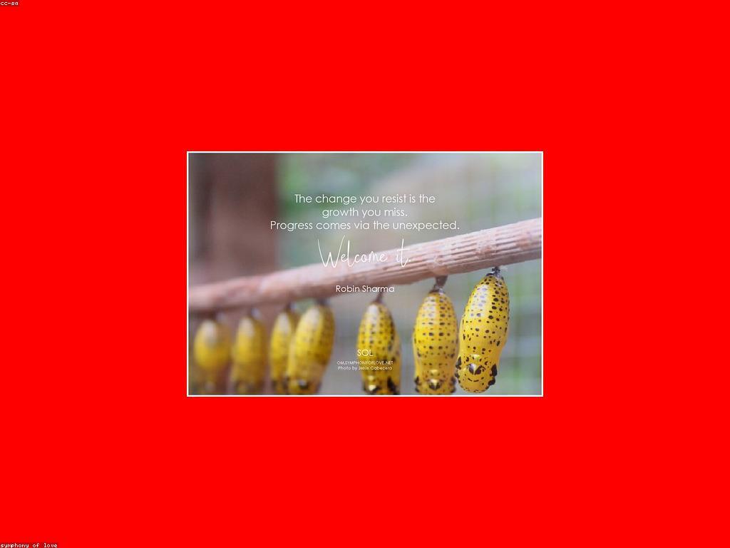 យុទ្ធសាស្ត្រស្លុត: ការបង្កើនគុណភាពជីវិតឲ្យកាន់តែប្រសើរ