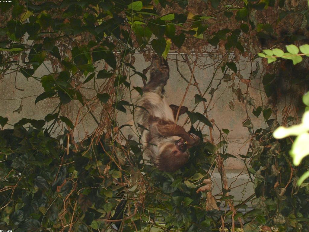 ស្លុតថ្មី: ការស្រាវជ្រាវនិងការកែលម្អ