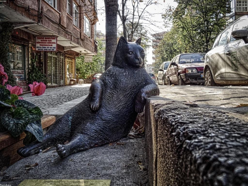 ការយល់ដឹងអំពីការ៉ូស្លុត