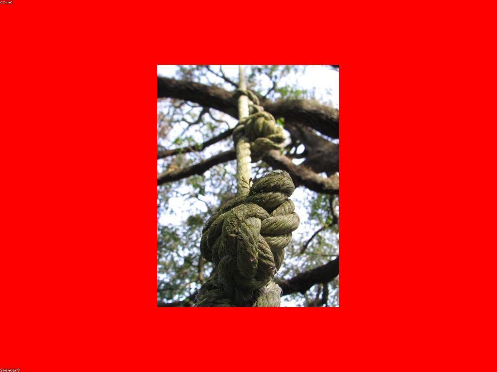 ស្លុតសម័យ: បច្ចេកវិទ្យាចាស់និងថ្មីខាងមុខ