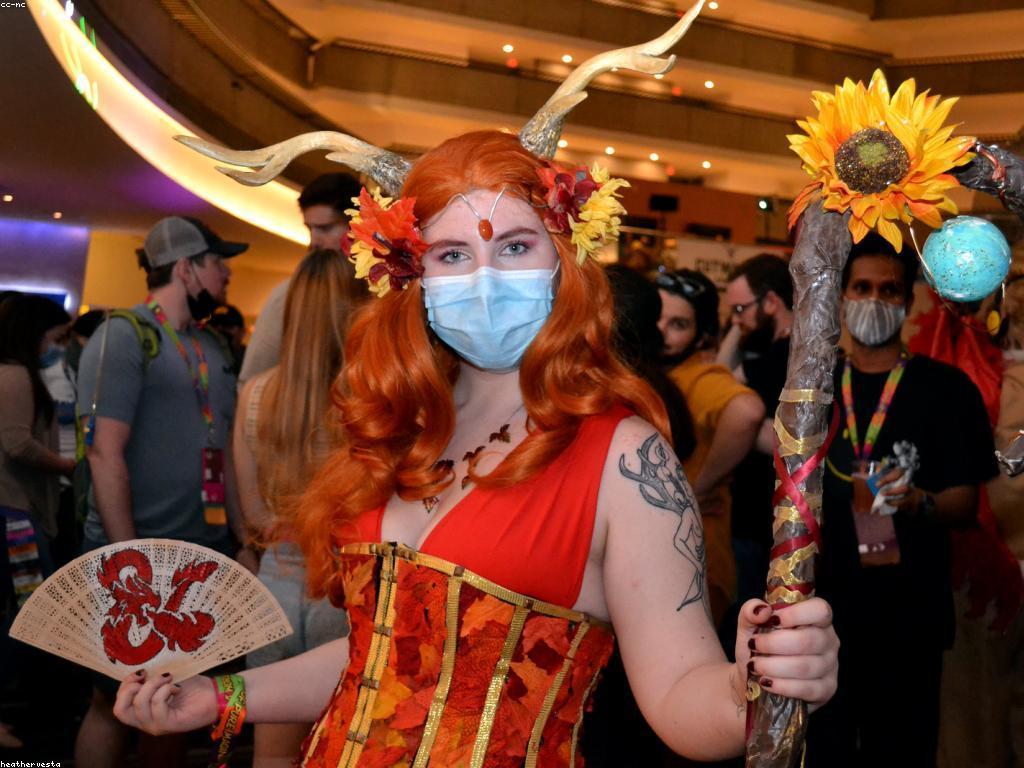 សេចក្តីសង្ខេបអំពីការ៉ូស្លុត