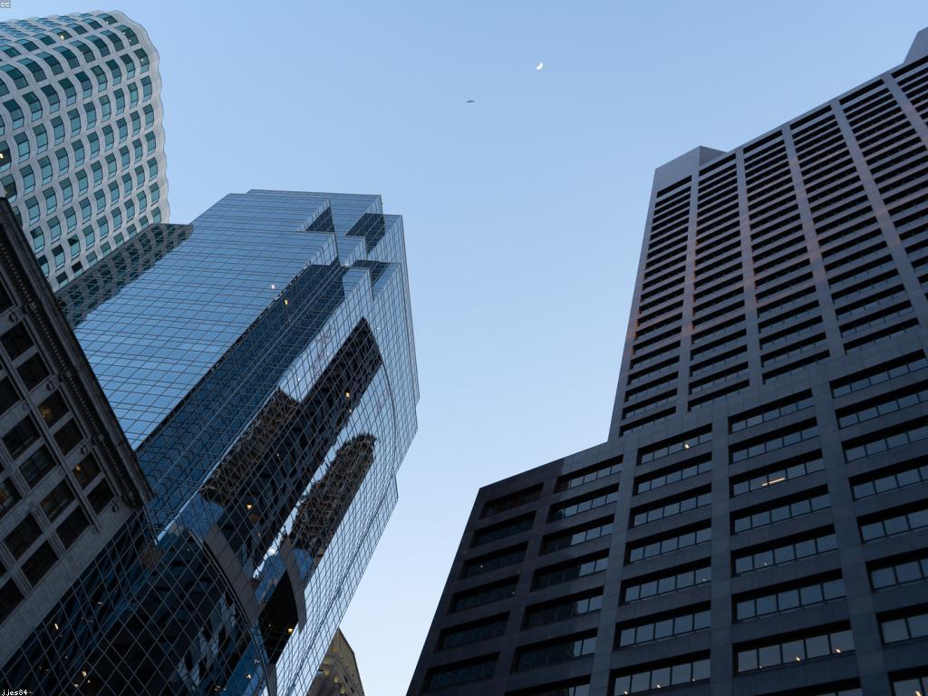 ស្លុតសម័យ: ការលូតលាស់និងរបៀបដើម្បីទទួលបានភាពជោគជ័យ